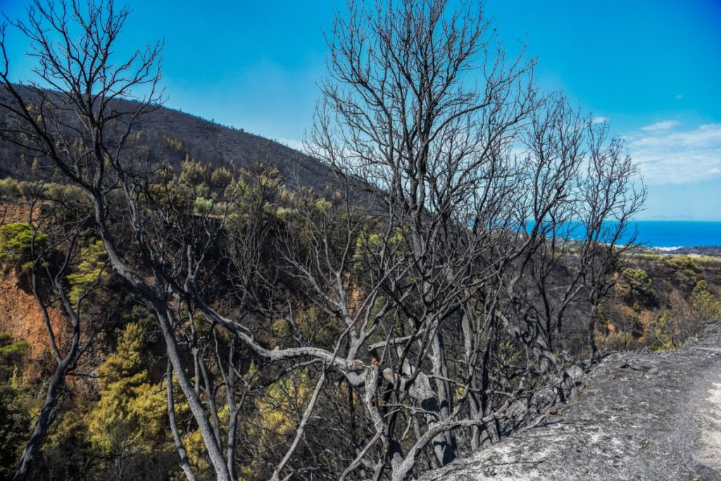Ρέθυμνο: Συνελήφθη 53χρονος για διέγερση πολιτών σε διάπραξη εγκλημάτων με αφορμή τις φωτιές