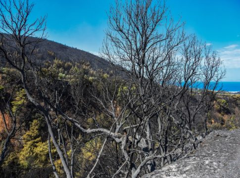 Ρέθυμνο: Συνελήφθη 53χρονος για διέγερση πολιτών σε διάπραξη εγκλημάτων με αφορμή τις φωτιές
