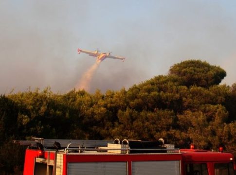 Δήμος Πύργου: Ξεκινάει η υποβολή αιτήσεων για τις ζημιές από τις πρόσφατες πυρκαγιές
