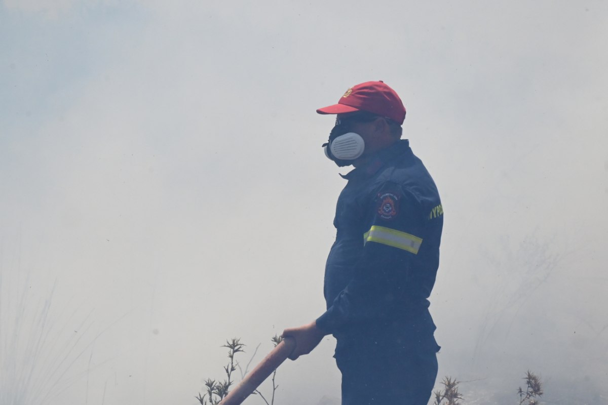 Φωτιά στην Ορεστιάδα: Καίγεται αγροτοδασική έκταση στην περιοχή Αμμόβουνο – Σηκώθηκαν εναέρια