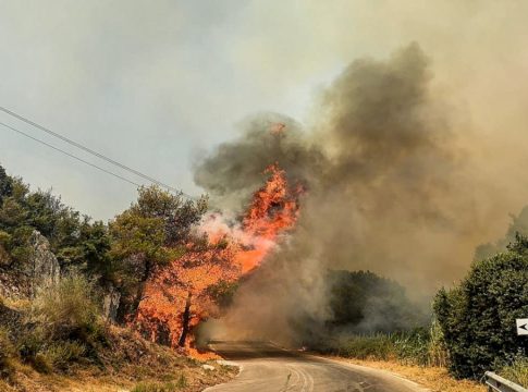 Κάηκαν 15.000 στρέμματα δάσους στη Ζάκυνθο – Ζημιές σε σπίτια και τουριστικές κατοικίες