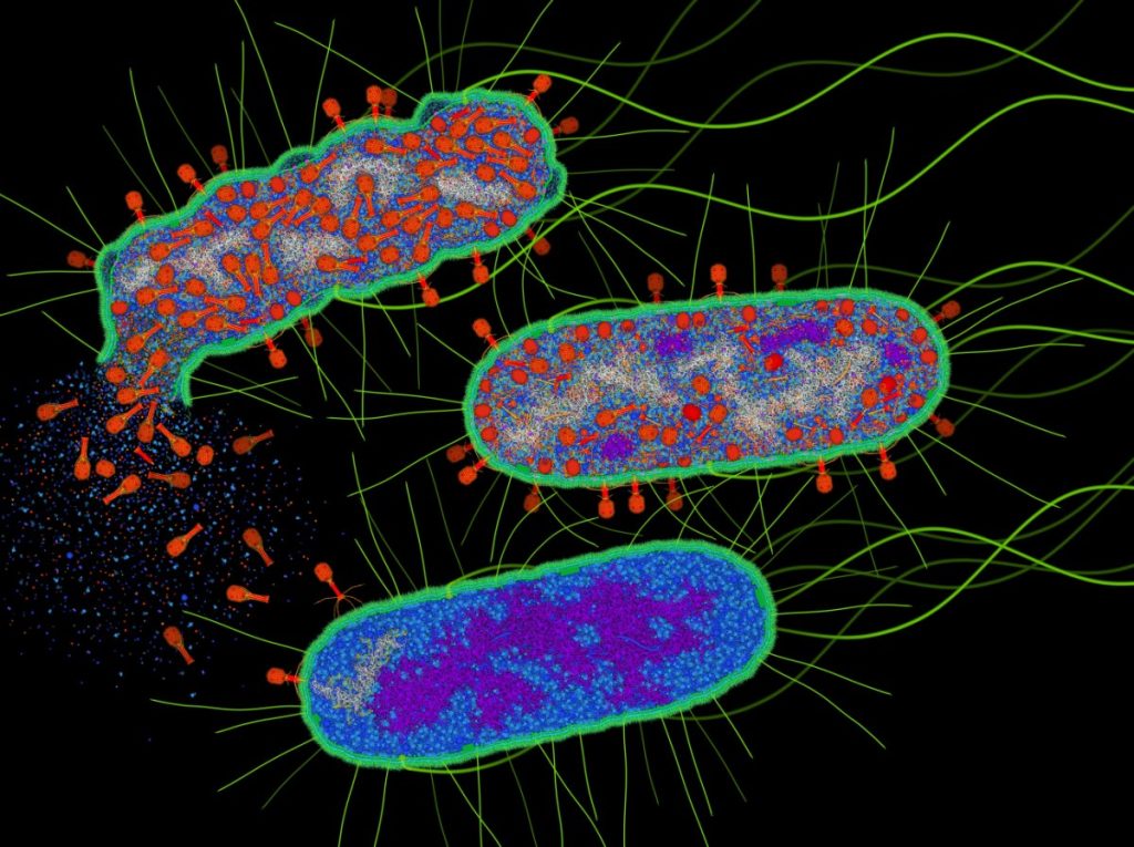 Ιοί σχεδιάστηκαν για πρώτη φορά από ΑΙ – Πρώτο βήμα για συνθετικές μορφές ζωής