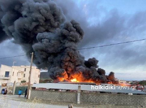 Φωτιά σε ελαιοτριβείο στη Χαλκιδική – Ήχησε το 112