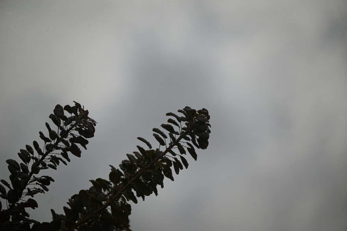 Άστατος ο καιρός την Παρασκευή – Τοπικές βροχές και στην Αττική