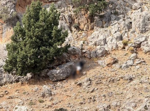 Βορίζια: Άφαντα τα όπλα παρά τις δεκάδες έρευνες σε σπίτια και στάνες – 9 συλλήψεις και 17 προσαγωγές μέχρι τώρα