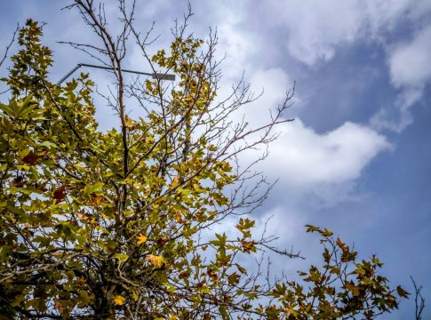 Καιρός: Σταθερές θερμοκρασίες και κατά τόπους ισχυροί άνεμοι