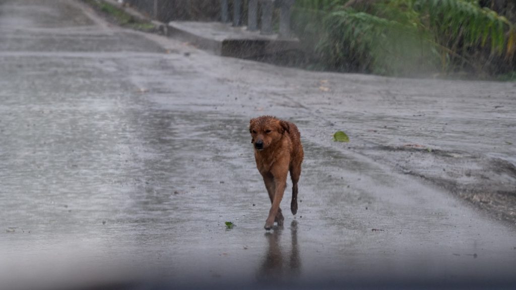 Καιρός: Το πάει για βροχές και καταιγίδες – Οι περιοχές που επηρεάζονται