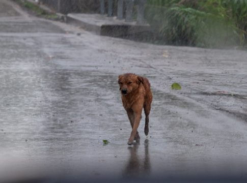Καιρός: Το πάει για βροχές και καταιγίδες – Οι περιοχές που επηρεάζονται