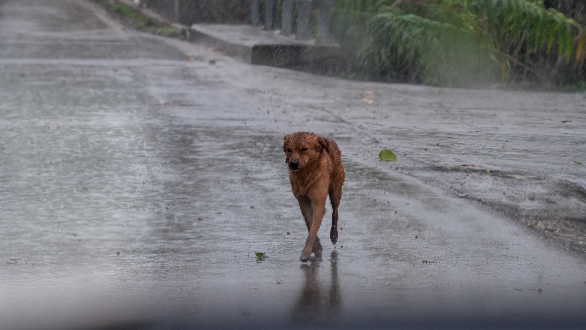 Καιρός: Το πάει για βροχές και καταιγίδες – Οι περιοχές που επηρεάζονται