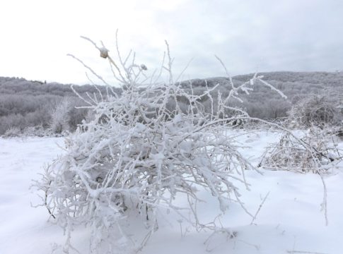 Καιρός: Ποδαρικό με τσουχτερό κρύο θα κάνει το 2026 – Προβλέψεις και για χιονοκαταιγίδες, τι θα γίνει στην Αττική