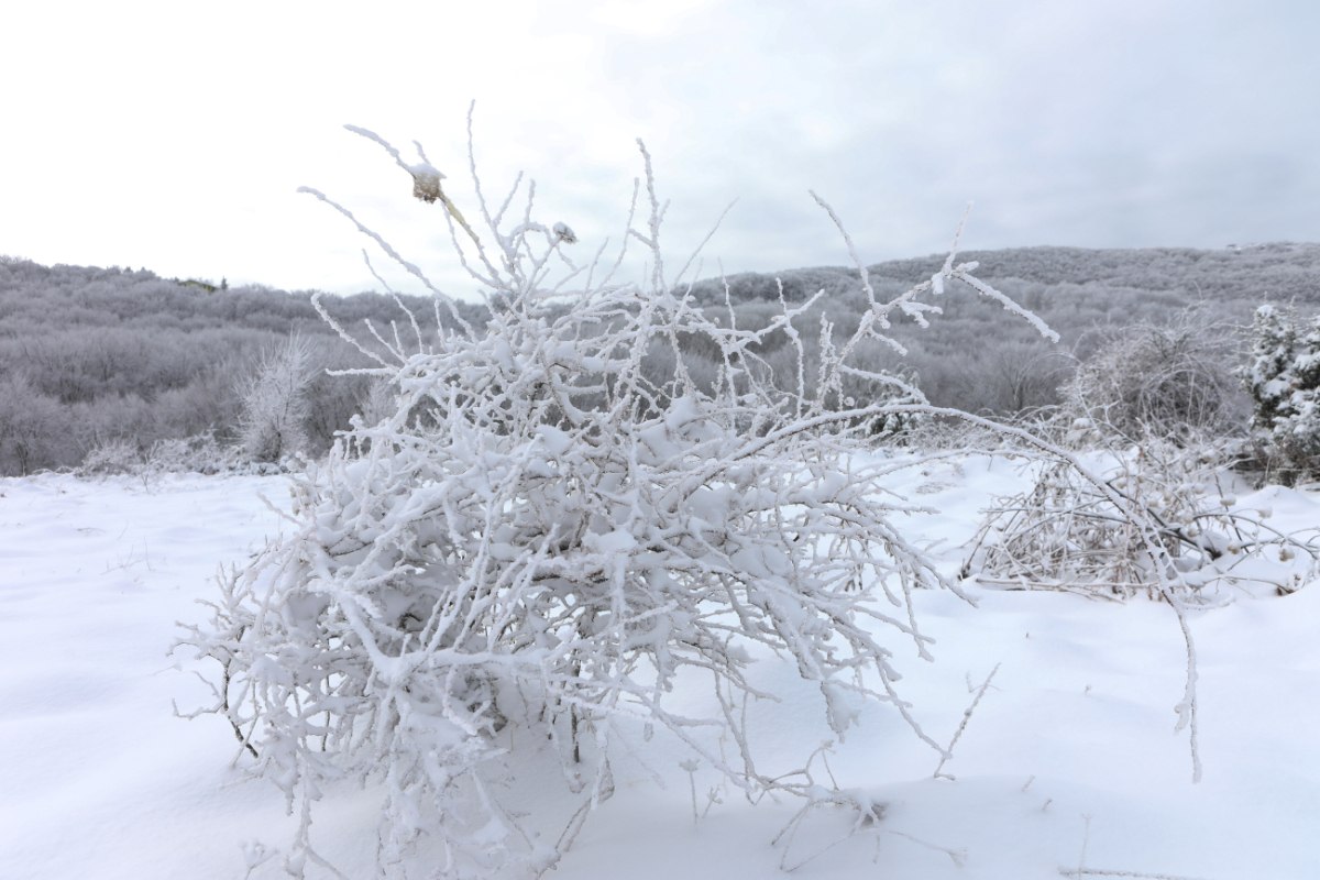 Καιρός: Ποδαρικό με τσουχτερό κρύο θα κάνει το 2026 – Προβλέψεις και για χιονοκαταιγίδες, τι θα γίνει στην Αττική