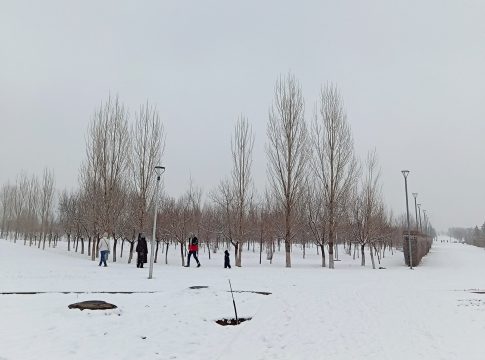 Οι εκσκαφείς βγάζουν χιόνι από την «Astana Arena» – Ποιες είναι οι καιρικές συνθήκες πριν το Καϊράτ – Ολυμπιακός (vid)