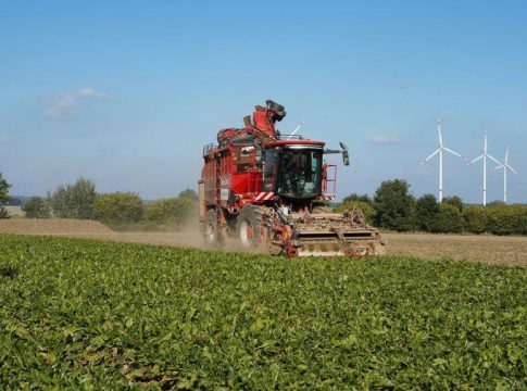 Τραμπ: Χριστουγεννιάτικος μποναμάς 12 δισ. στους αγρότες