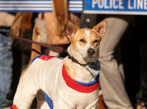 Αλόκα, ο προσκυνητής Λουκάνικος – «Φύλακας άγγελος» των Βουδιστών μοναχών για τη συμπόνια