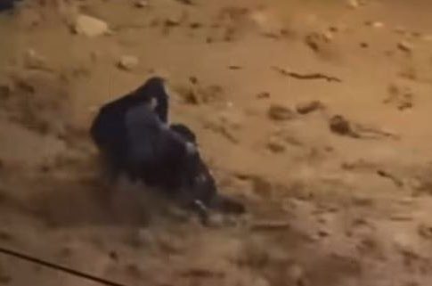 Δραματική διάσωση γυναίκας από ορμητικό χείμαρρο στη Γλυφάδα – Δείτε το συγκλονιστικό βίντεο