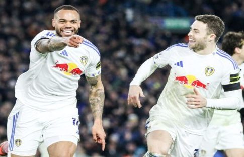 «Παγώνια» με ένταση