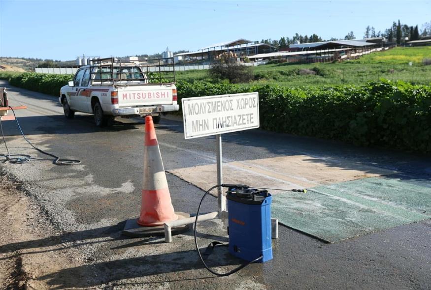 Αφθώδης πυρετός: Σε καραντίνα η Κύπρος για 21 ημέρες – Κλείνουν οι δρόμοι