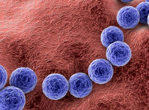 Θάνατοι φοιτητών από μηνιγγίτιδα Β: Πόσο προστατευμένοι είναι οι νέοι στην Ελλάδα;