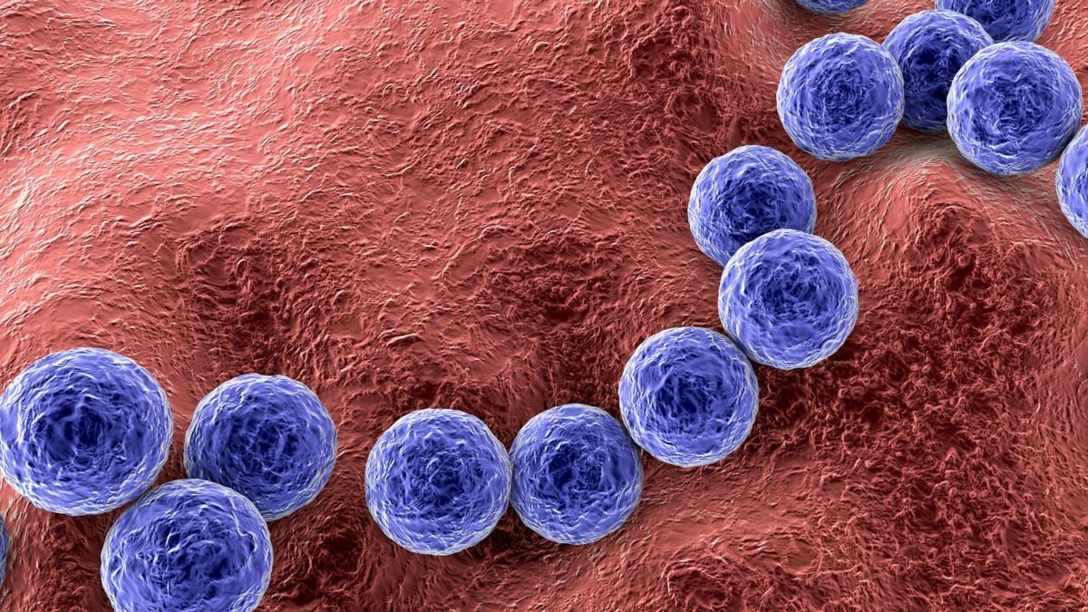 Θάνατοι φοιτητών από μηνιγγίτιδα Β: Πόσο προστατευμένοι είναι οι νέοι στην Ελλάδα;