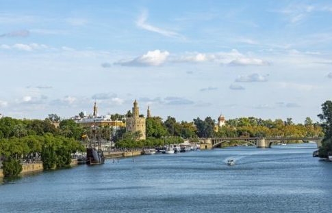 Αμφίσκορο στο Γουαδαλκιβίρ