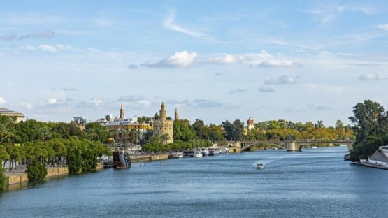 Αμφίσκορο στο Γουαδαλκιβίρ