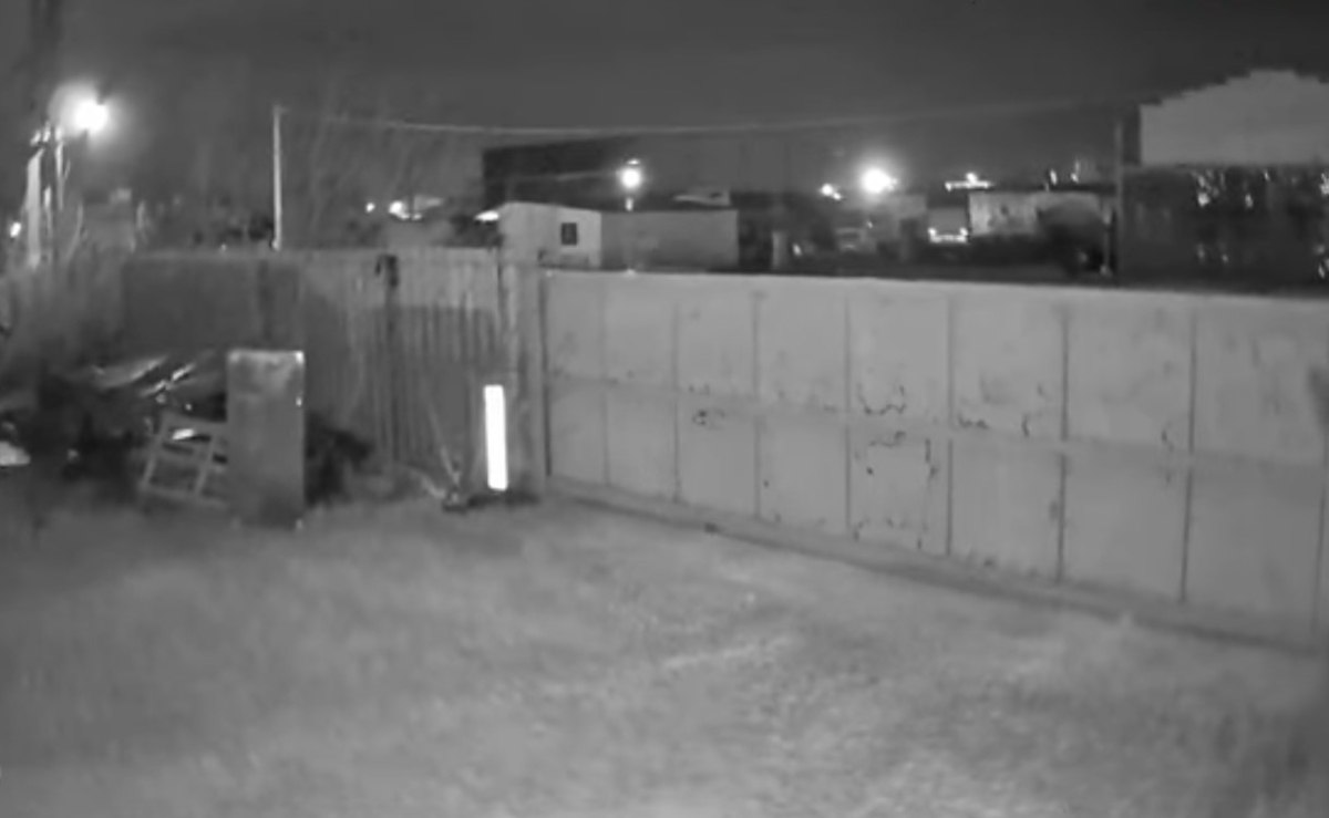 Ιωάννινα: Βίντεο από τη στιγμή που χτυπά ο σεισμός των 5,3 Ρίχτερ στη Λεπτοκαρυά