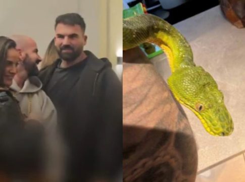 Δημήτρης Αλεξάνδρου: Βάφτισε το νέο του φίδι «Ρία» – Πώς αντέδρασε η Ελληνίδου
