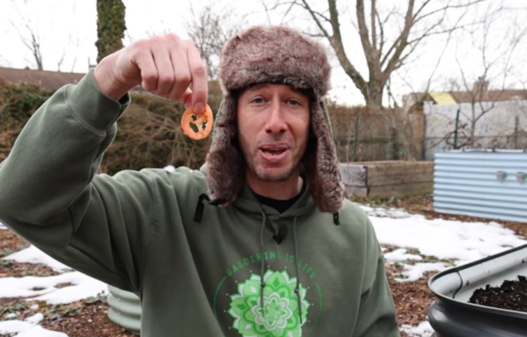 Κηπουρός φύτεψε σπόρους ντομάτας από μπέργκερ γνωστής αλυσίδας – Απίστευτο το αποτέλεσμα (vid)