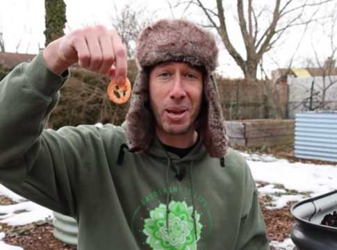 Κηπουρός φύτεψε σπόρους ντομάτας από μπέργκερ γνωστής αλυσίδας – Απίστευτο το αποτέλεσμα (vid)