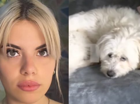 Κεφαλονιά: Η κάμερα μέσα στο δωμάτιο της Μυρτούς – Συγκλονίζει το πλάνο που κατέγραψε (Βίντεο)