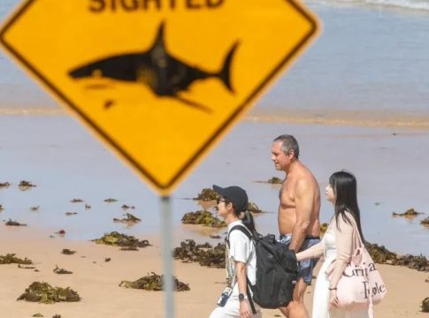 Ένας 39χρονος νεκρός στην Αυστραλία από επίθεση καρχαρία