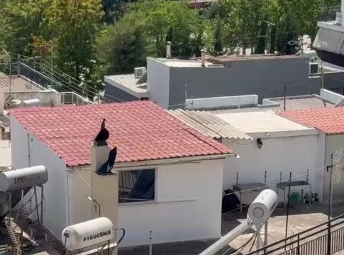 Αυτό είναι το σπίτι-τρώγλη που ζούσαν τα έξι παιδιά στο Περιστέρι