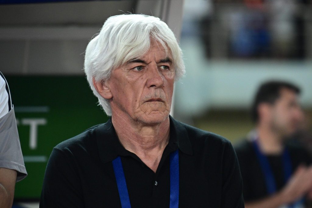 Η νέα ποδοσφαιρική ταυτότητα που θέλει να εφαρμόσει ο Γιοβάνοβιτς