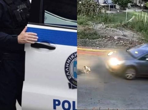 Ραγδαίες εξελίξεις – Τι είπε στην αστυνομία η οδηγός που σκότωσε το σκυλάκι στη Γαστούνη