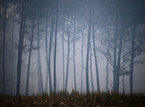 ΠΟΥ: Κατάσταση έκτακτης ανάγκης για την υγεία, ο καπνός από τις πυρκαγιές στην Ευρώπη