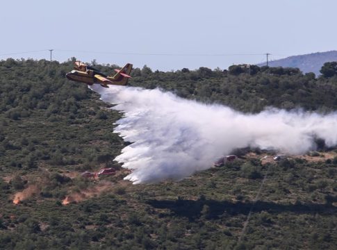 Πόσο βοήθησε η πρόσφατη κακοκαιρία στη μείωση της ευφλεκτότητας των δασών