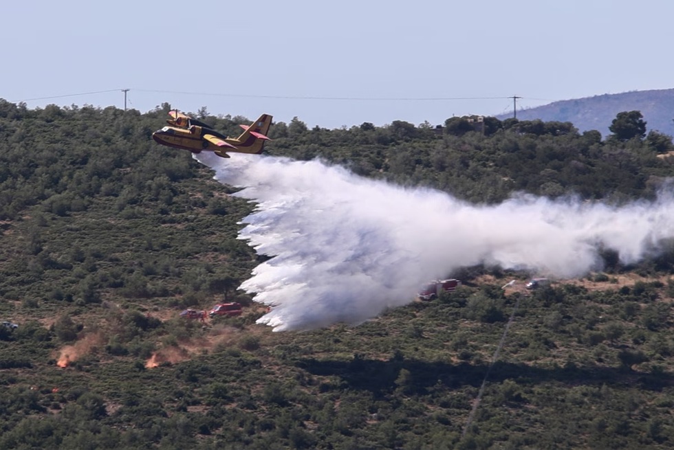 Πόσο βοήθησε η πρόσφατη κακοκαιρία στη μείωση της ευφλεκτότητας των δασών