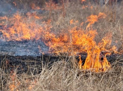 Συνελήφθη 27χρονος για φωτιά που προκάλεσε από εγκατάσταση ρευματοκλοπής στο Κορωπί
