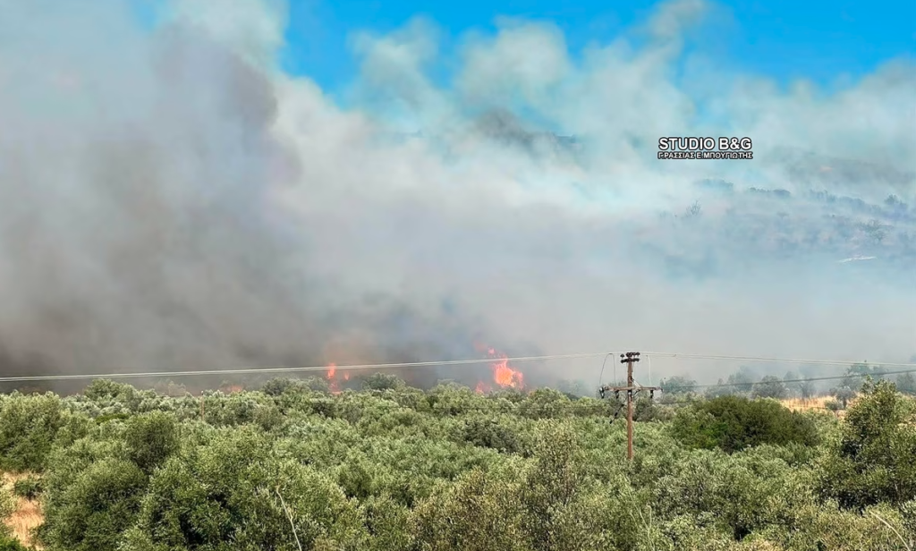 Αργολίδα: Μεγάλη φωτιά κοντά στις Μυκήνες – Ήχησε το 112 για απομάκρυνση όσων βρίσκονται στο Φίχτι