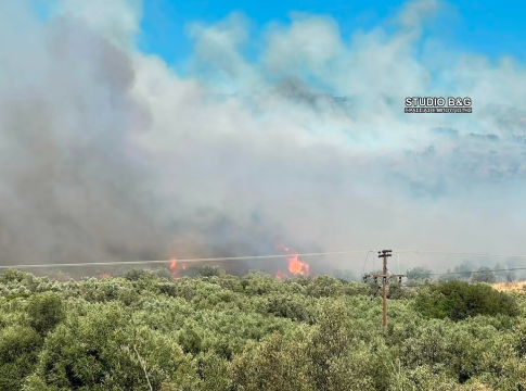 Αργολίδα: Μεγάλη φωτιά κοντά στις Μυκήνες – Ήχησε το 112 για απομάκρυνση όσων βρίσκονται στο Φίχτι