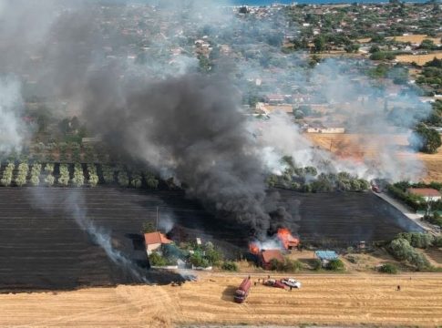 Φωτιά στη Νέα Καλλικράτεια Χαλκιδικής – Δίπλα σε σπίτια οι φλόγες – Μήνυμα από το 112 για εκκένωση δύο οικισμών (vids)