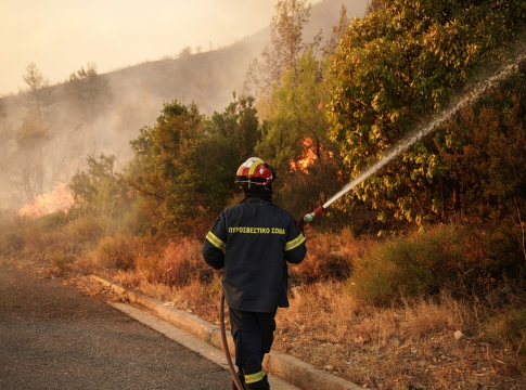 Θεσσαλονίκη: Αθώος κρίθηκε ο 56χρονος που συνελήφθη για τη φωτιά στα Βασιλικά