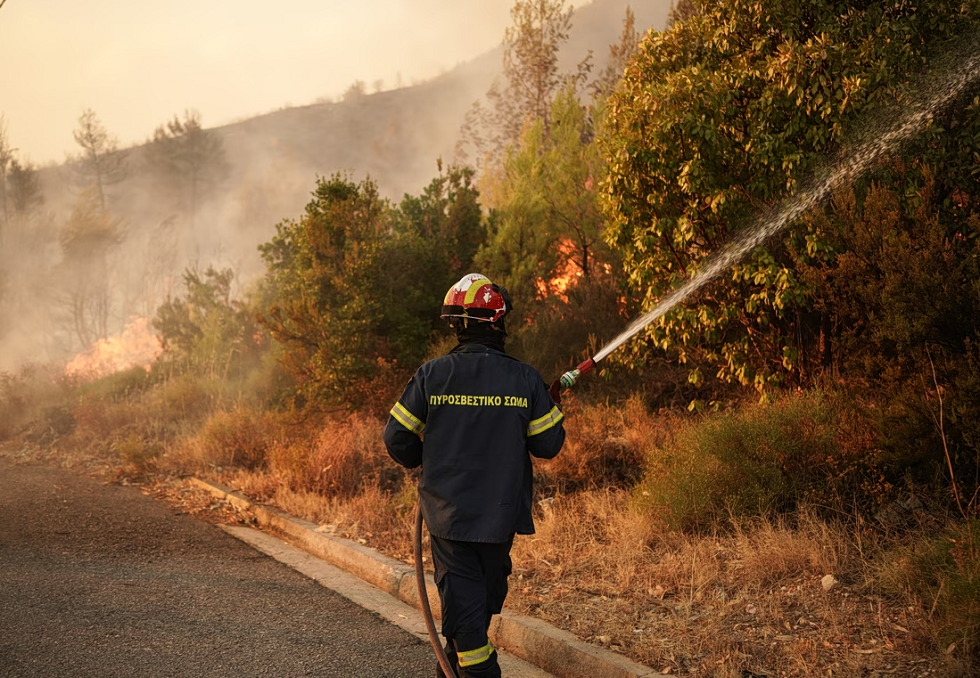 Θεσσαλονίκη: Αθώος κρίθηκε ο 56χρονος που συνελήφθη για τη φωτιά στα Βασιλικά