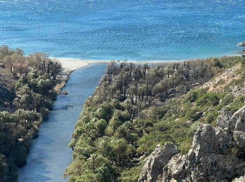 Περιφέρεια Ρεθύμνης: Περιορισμένες οι ζημιές από την πυρκαγιά στο φοινικόδασος στην Πρέβελη