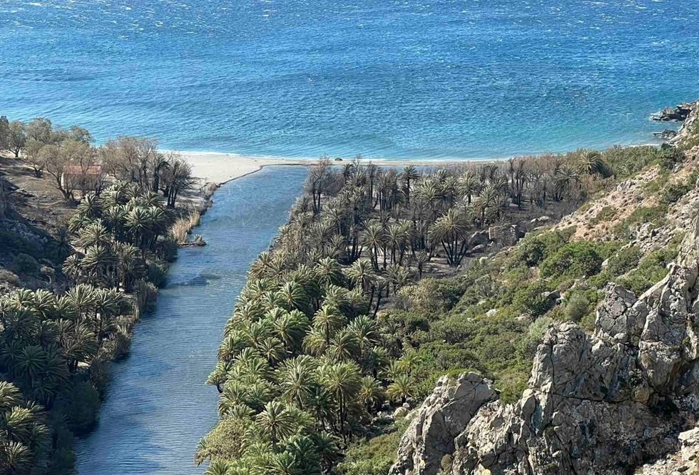 Περιφέρεια Ρεθύμνης: Περιορισμένες οι ζημιές από την πυρκαγιά στο φοινικόδασος στην Πρέβελη