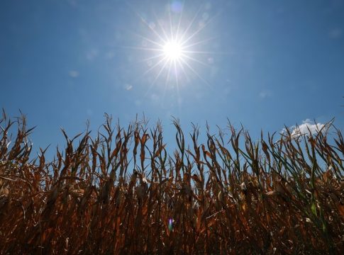 Χαμένες ζωές, χαμένες σοδειές – Ο καύσωνας θα στοιχίσει στο ευρωπαϊκό ΑΕΠ