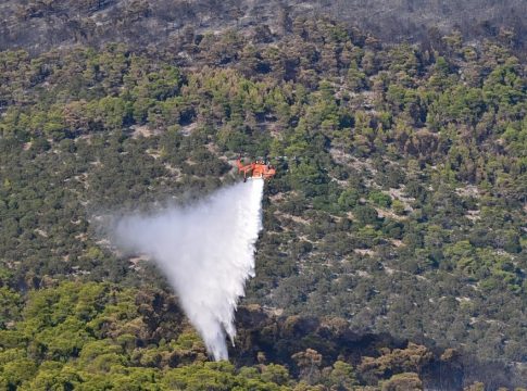 Καιρός: Επικίνδυνο τρίπτυχο ισχυρών ανέμων, ζέστης και ξηρασίας – Στο κόκκινο ο κίνδυνος πυρκαγιάς