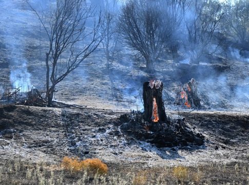 «Πορτοκαλί» συναγερμός για κίνδυνο πυρκαγιάς την Τρίτη σε Αττική, Χίο και Εύβοια