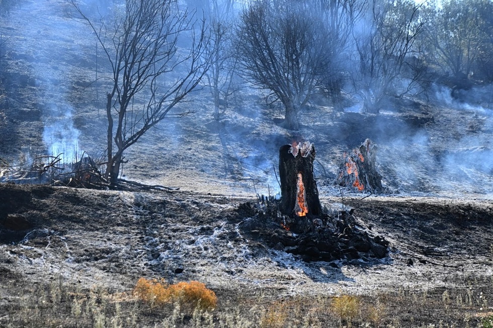 «Πορτοκαλί» συναγερμός για κίνδυνο πυρκαγιάς την Τρίτη σε Αττική, Χίο και Εύβοια
