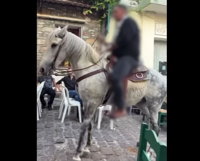 Μυτιλήνη: Σάλος με βίντεο από πανηγύρι – Έβαλαν άλογα να περπατούν πάνω σε σπασμένα γυαλιά